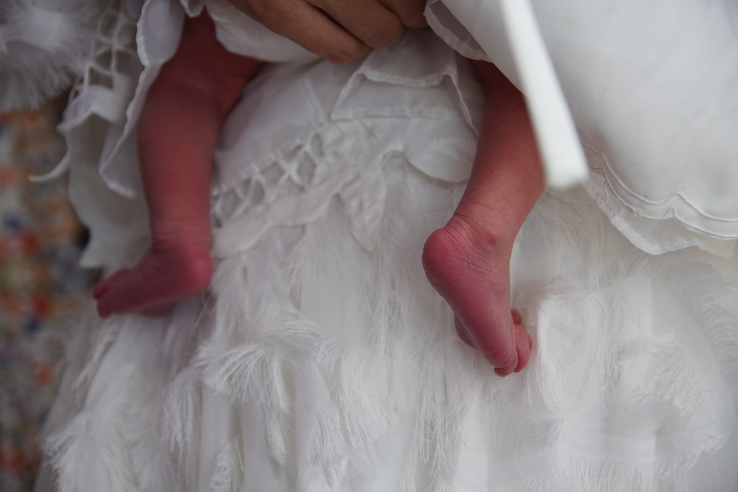 בנימין אלקיים צילום אירועים