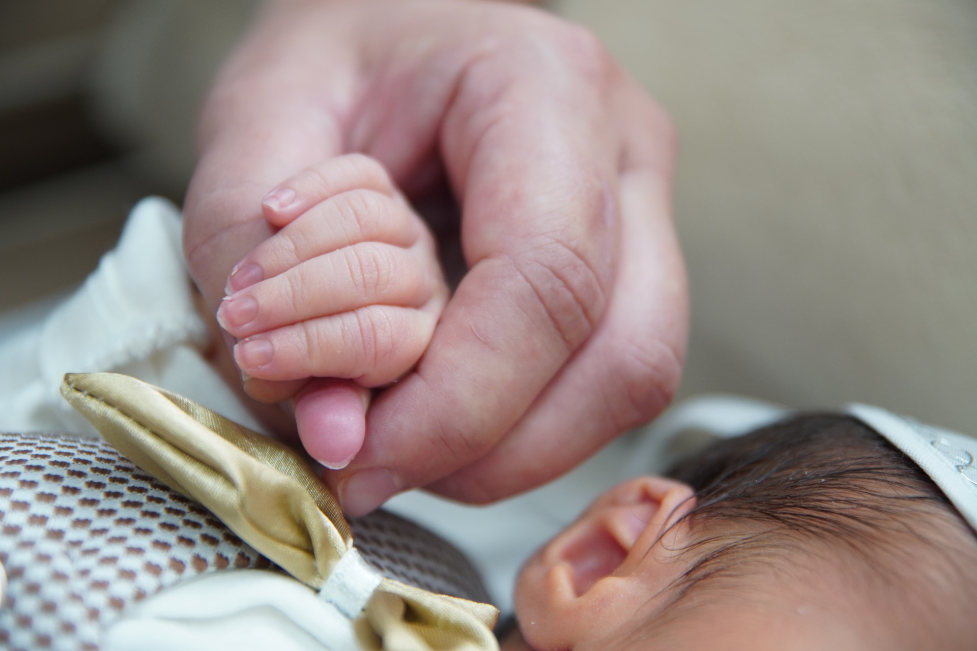 בנימין אלקיים צילום אירועים