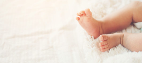 היפוספדיאס