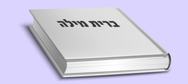 מדריך מעשי מקוצר